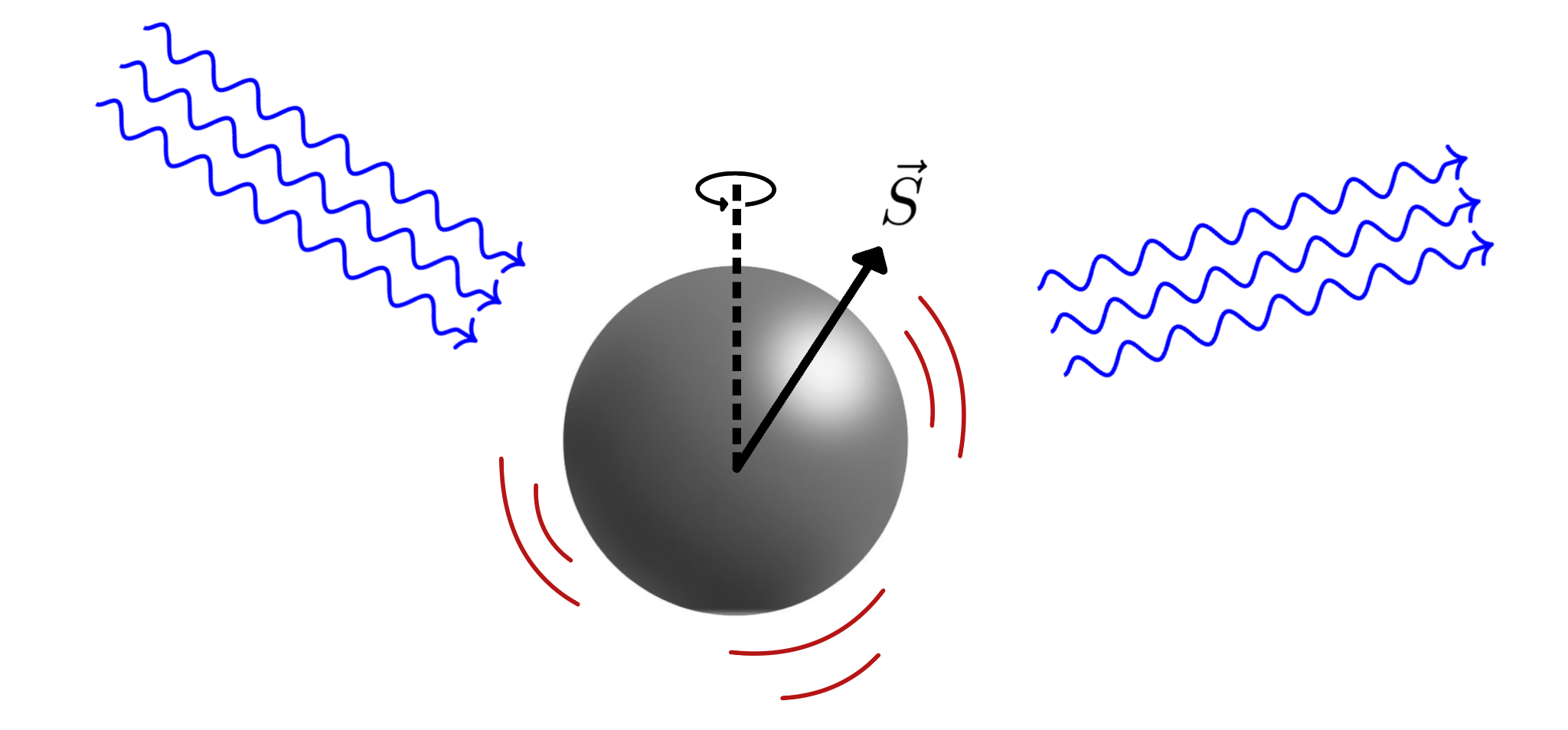Waves scattering from a spinning compact object.